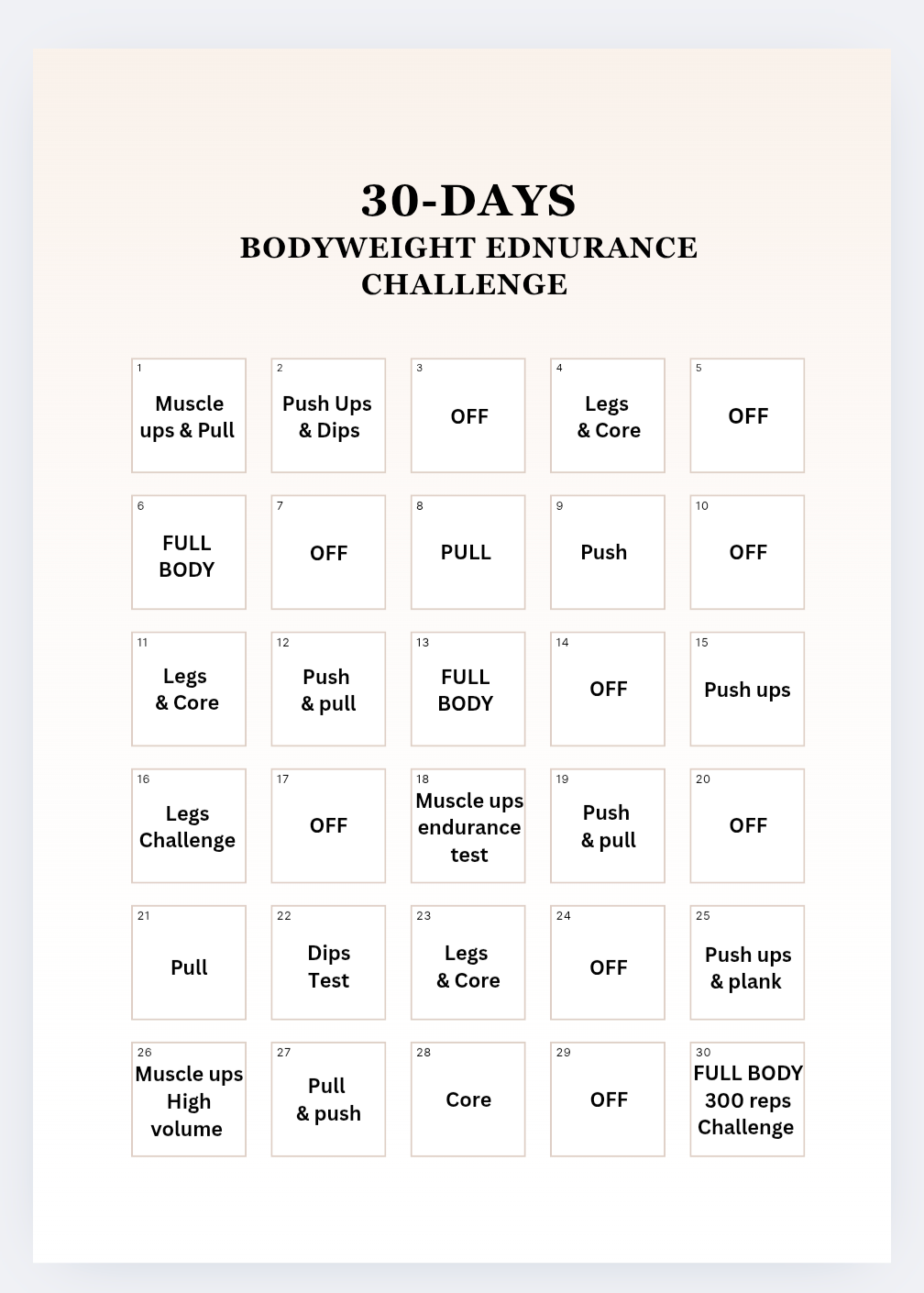 Set of 4 programmes - from beginner to intermediate in 5 months