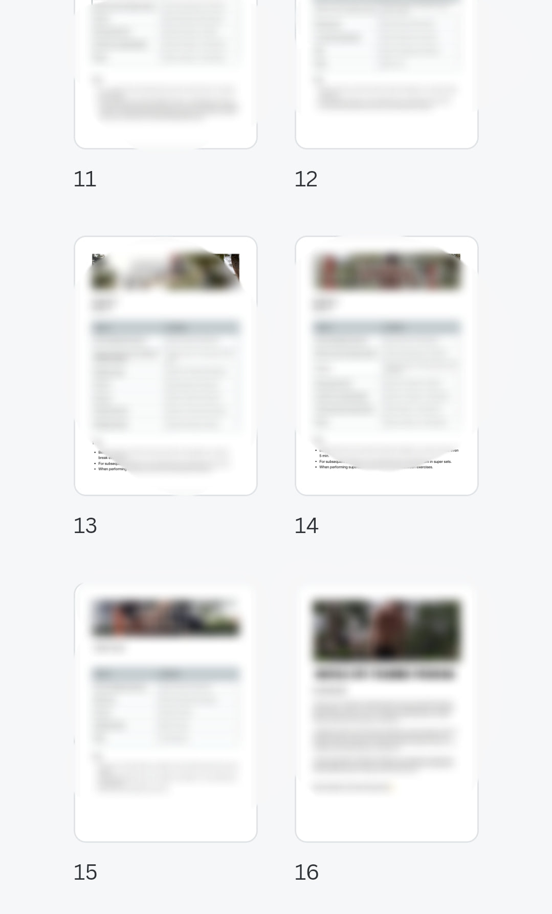 Muscle up training program