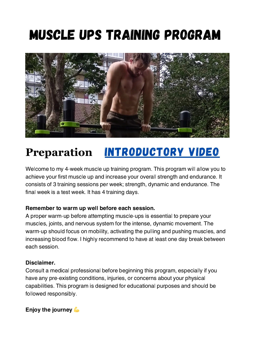 Muscle up training program